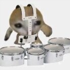 TenorCat